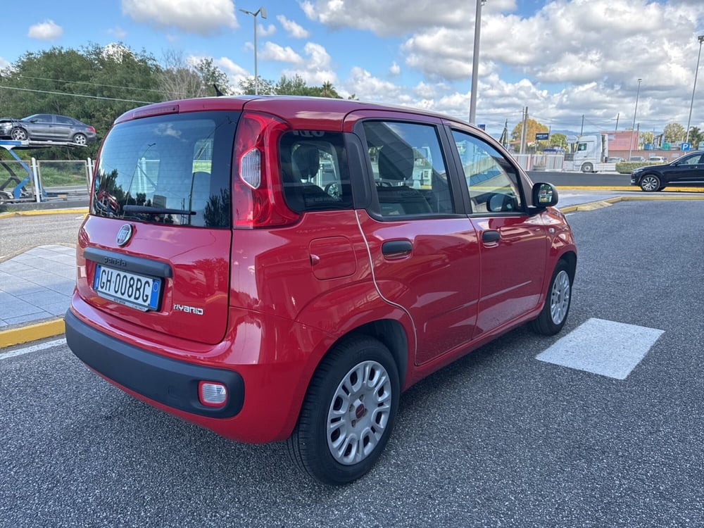 Fiat Panda Cross usata a Reggio Calabria (5)
