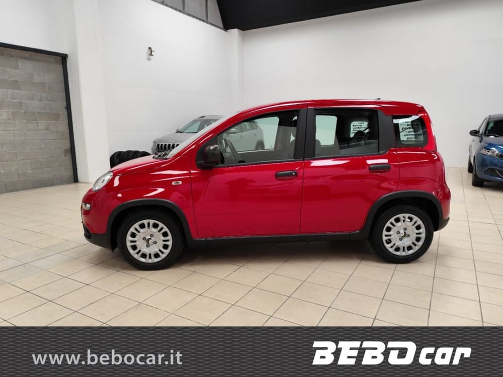 Fiat Panda Cross nuova a Torino (10)