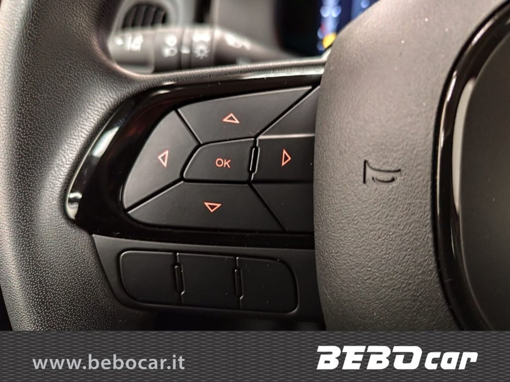 Fiat Panda Cross nuova a Torino (18)