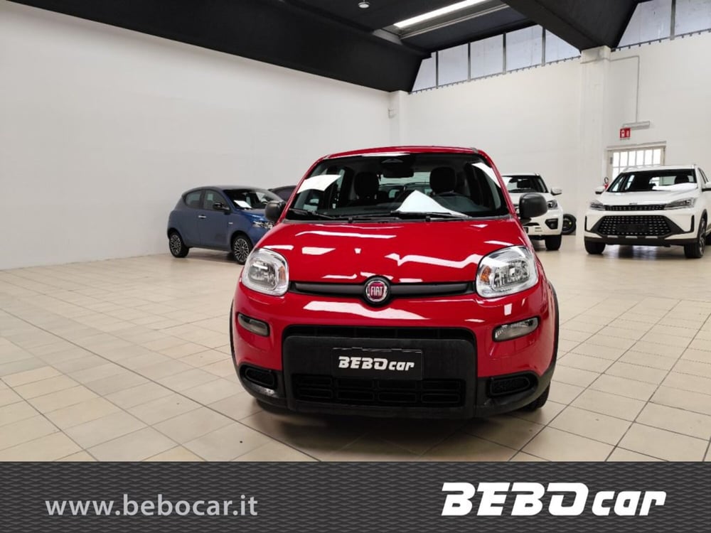 Fiat Panda Cross nuova a Torino (2)