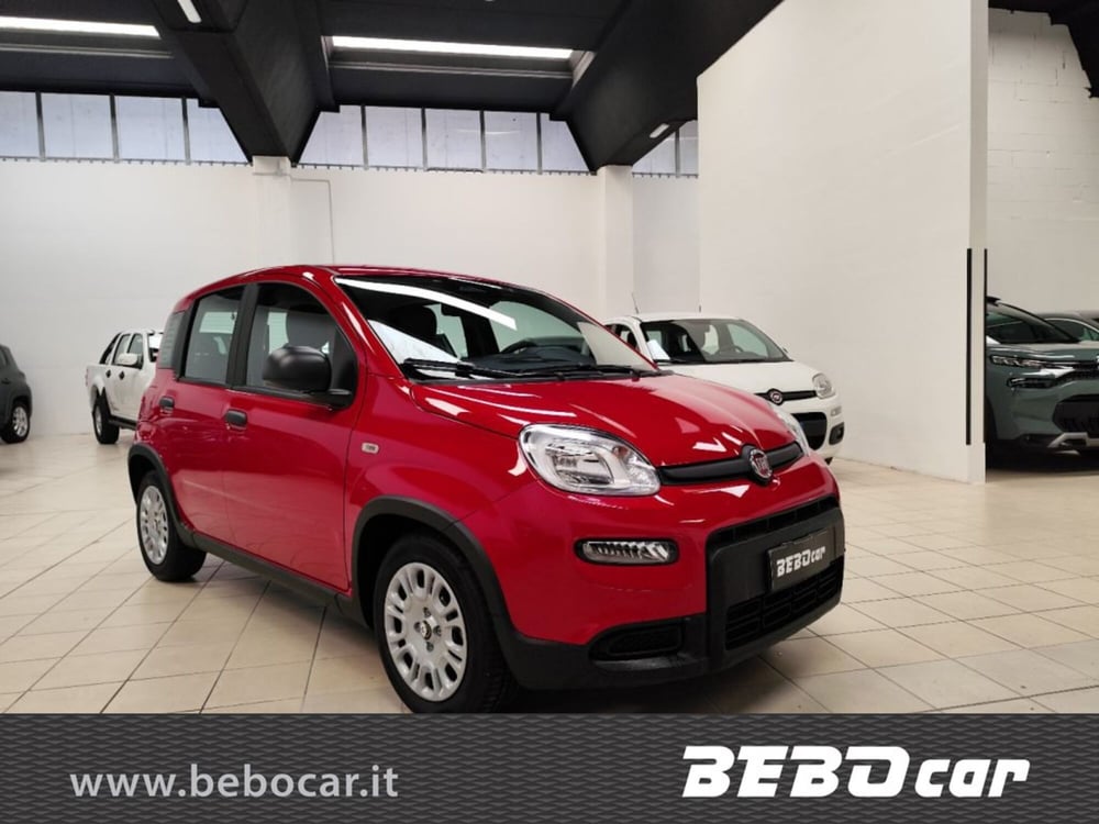 Fiat Panda Cross nuova a Torino (3)