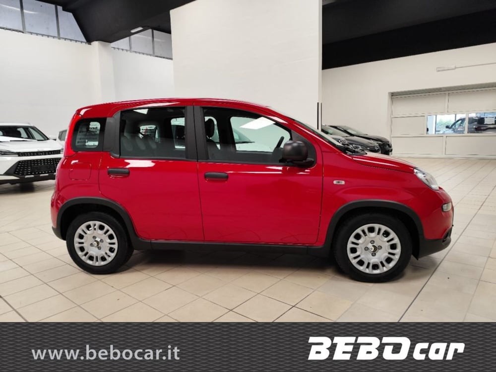 Fiat Panda Cross nuova a Torino (5)