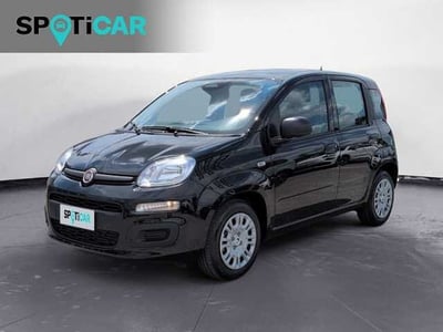 Fiat Panda 1.0 firefly hybrid Pop s&amp;s 70cv nuova a Castelfranco Veneto