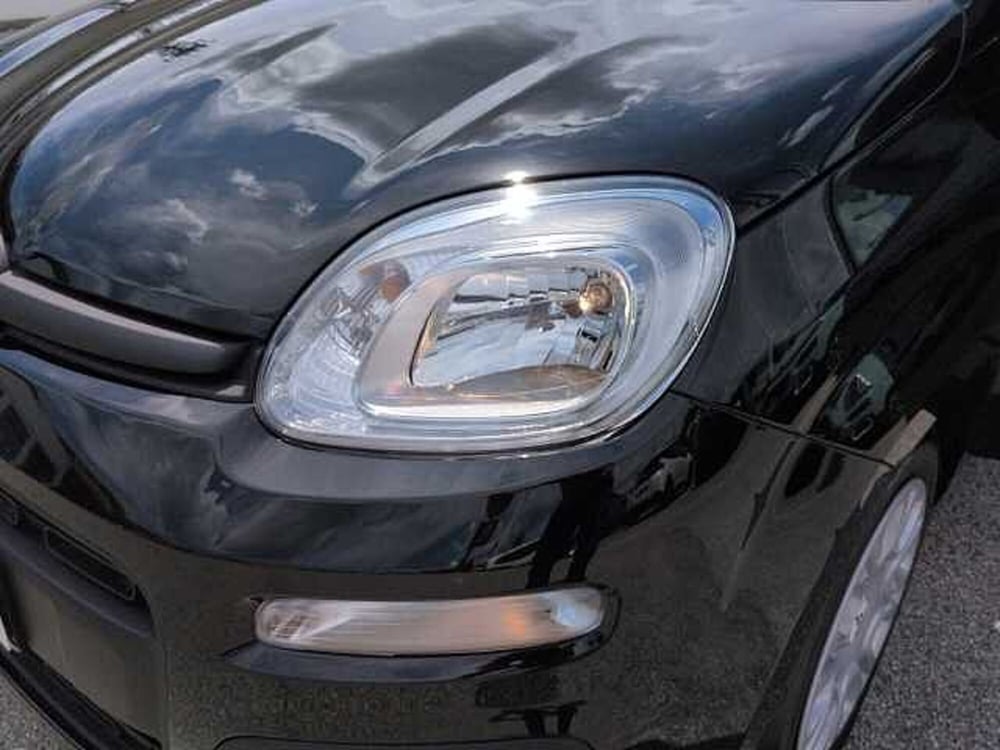 Fiat Panda nuova a Treviso (16)