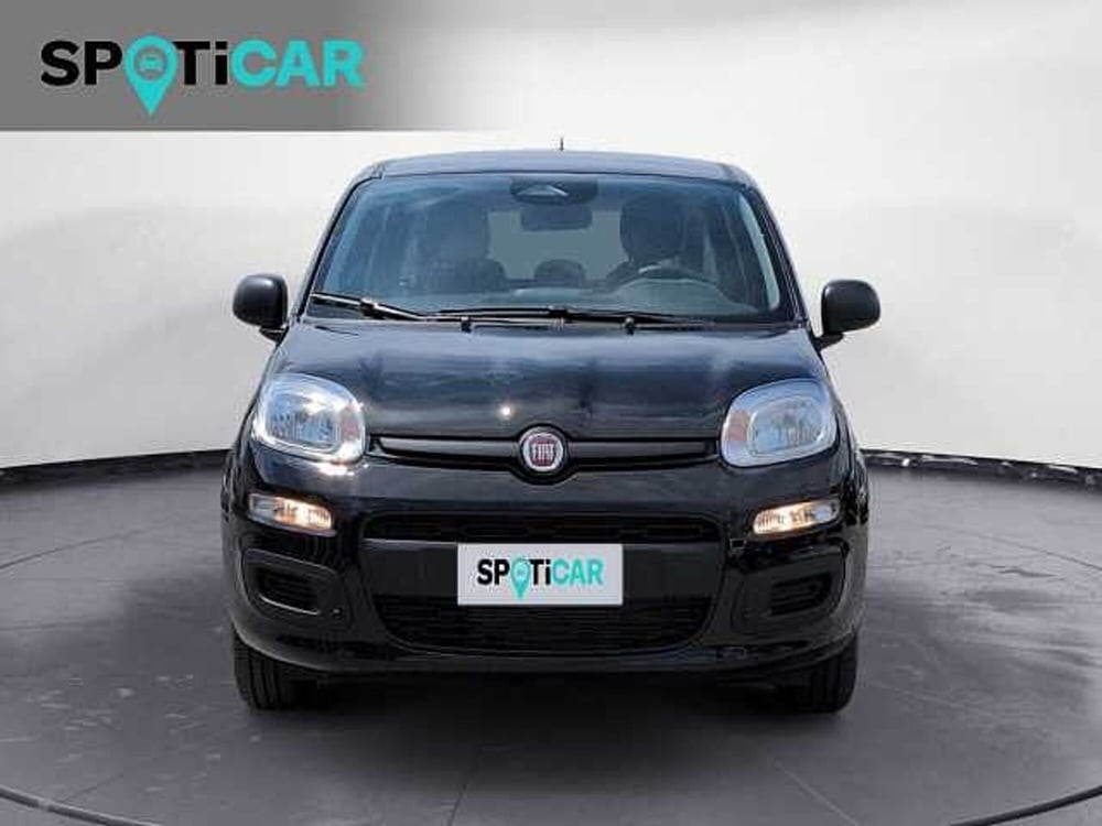 Fiat Panda nuova a Treviso (2)