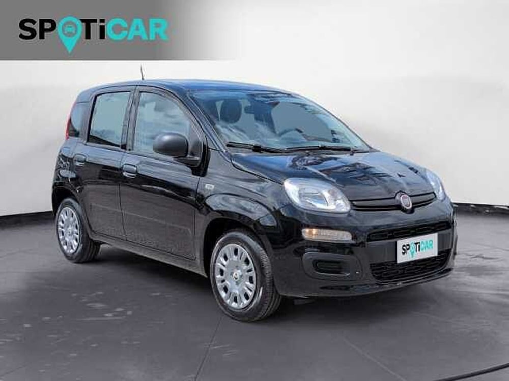 Fiat Panda nuova a Treviso (3)