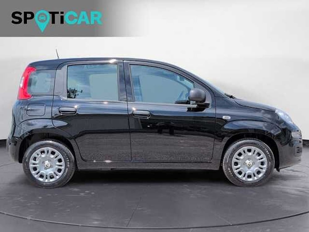 Fiat Panda nuova a Treviso (4)