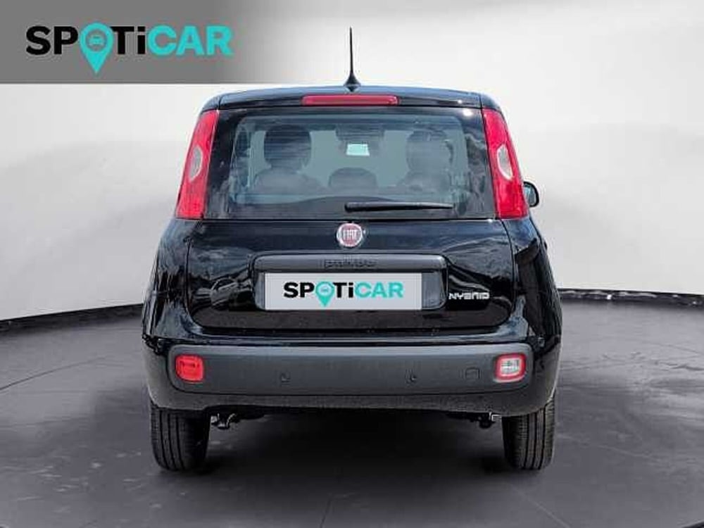 Fiat Panda nuova a Treviso (5)