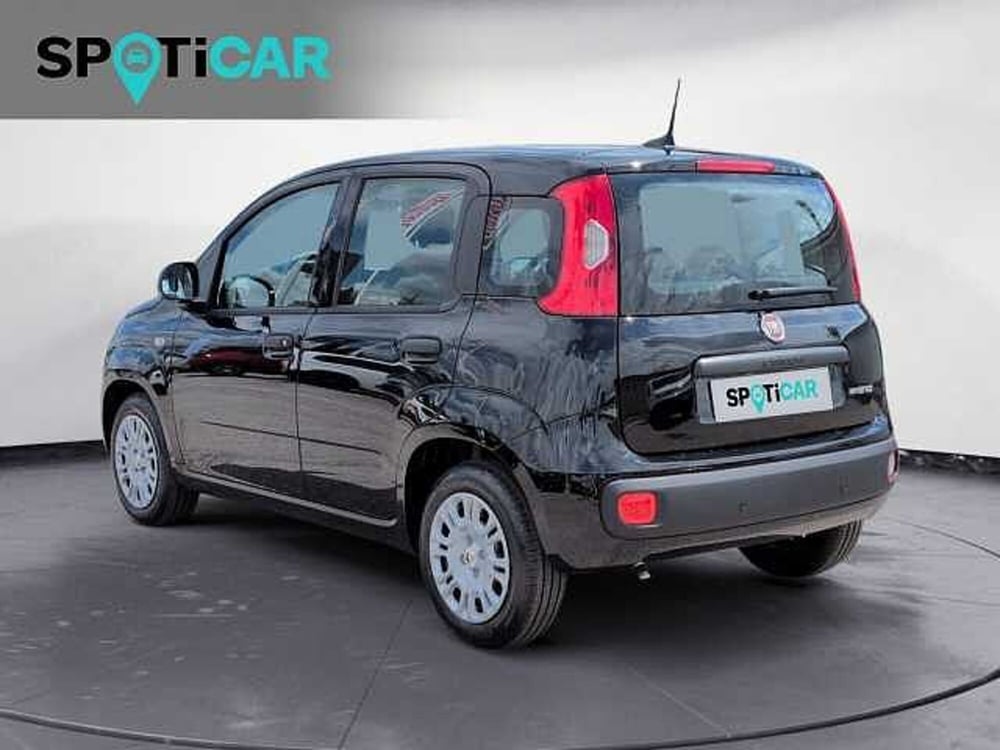 Fiat Panda nuova a Treviso (7)