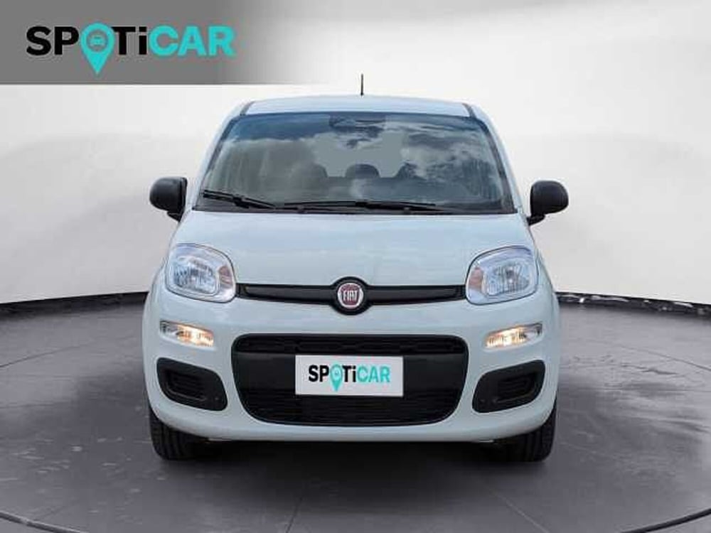 Fiat Panda nuova a Treviso (2)