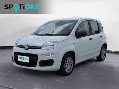 Fiat Panda 1.0 firefly hybrid Pop s&amp;s 70cv nuova a Castelfranco Veneto