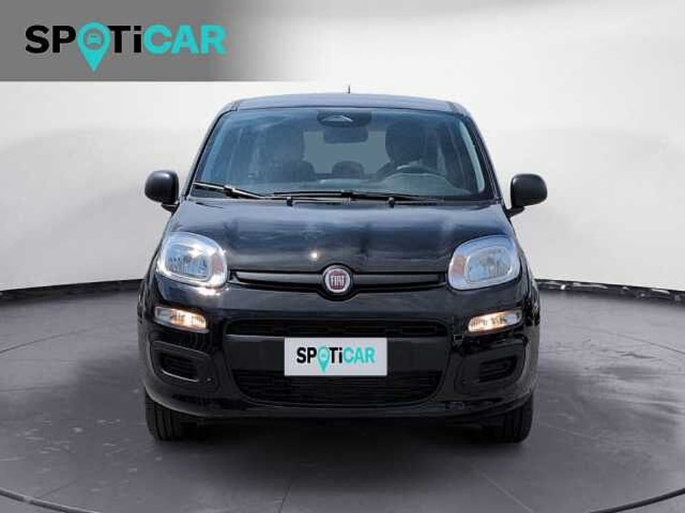 Fiat Panda nuova a Treviso (2)