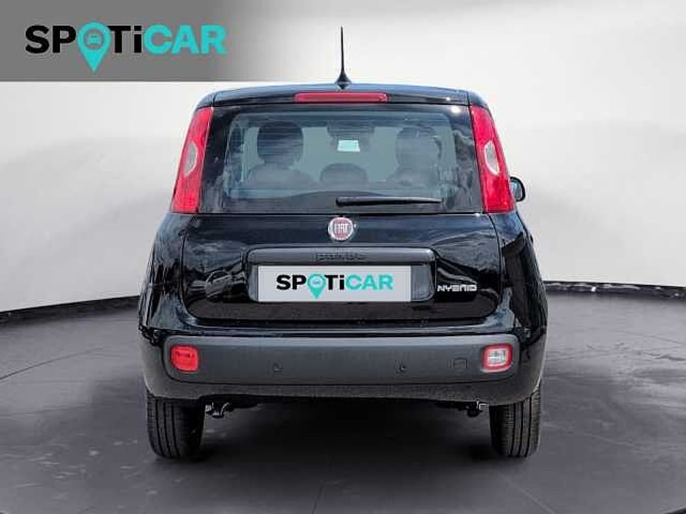 Fiat Panda nuova a Treviso (5)