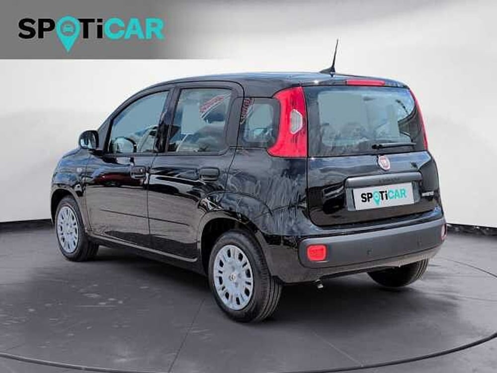 Fiat Panda nuova a Treviso (7)
