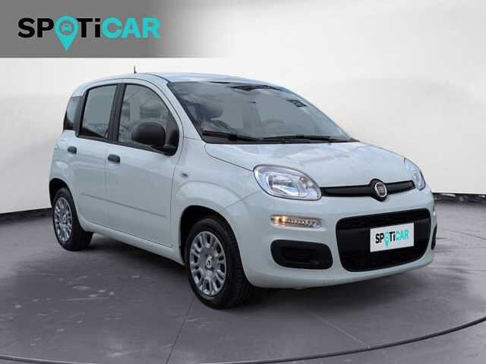 Fiat Panda nuova a Treviso (3)