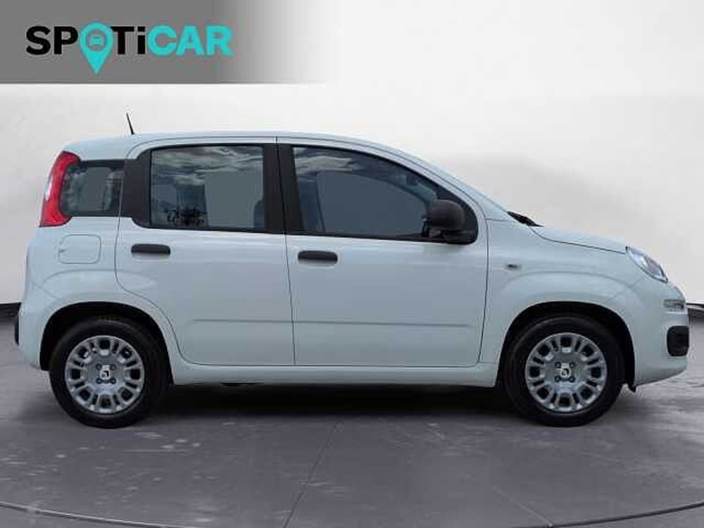 Fiat Panda nuova a Treviso (4)