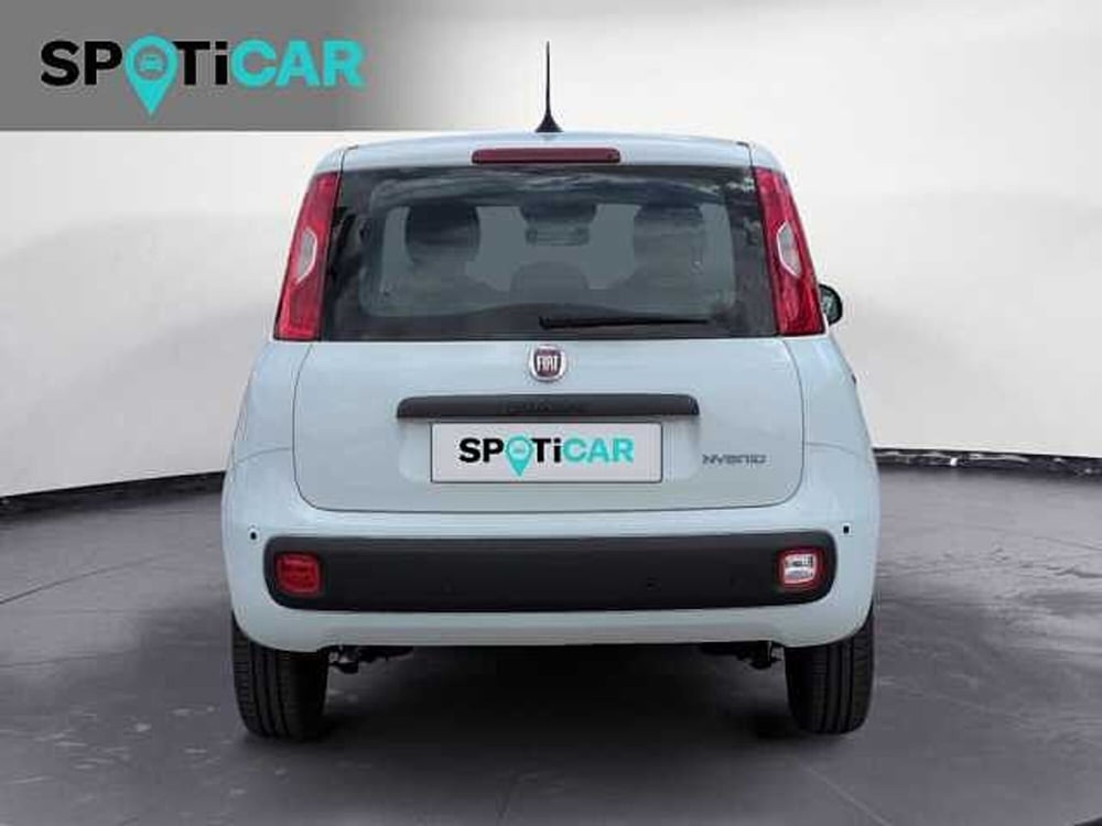 Fiat Panda nuova a Treviso (5)