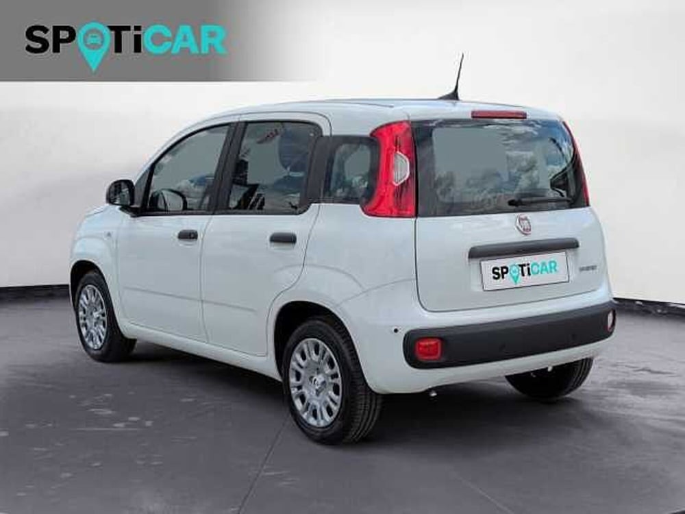 Fiat Panda nuova a Treviso (7)