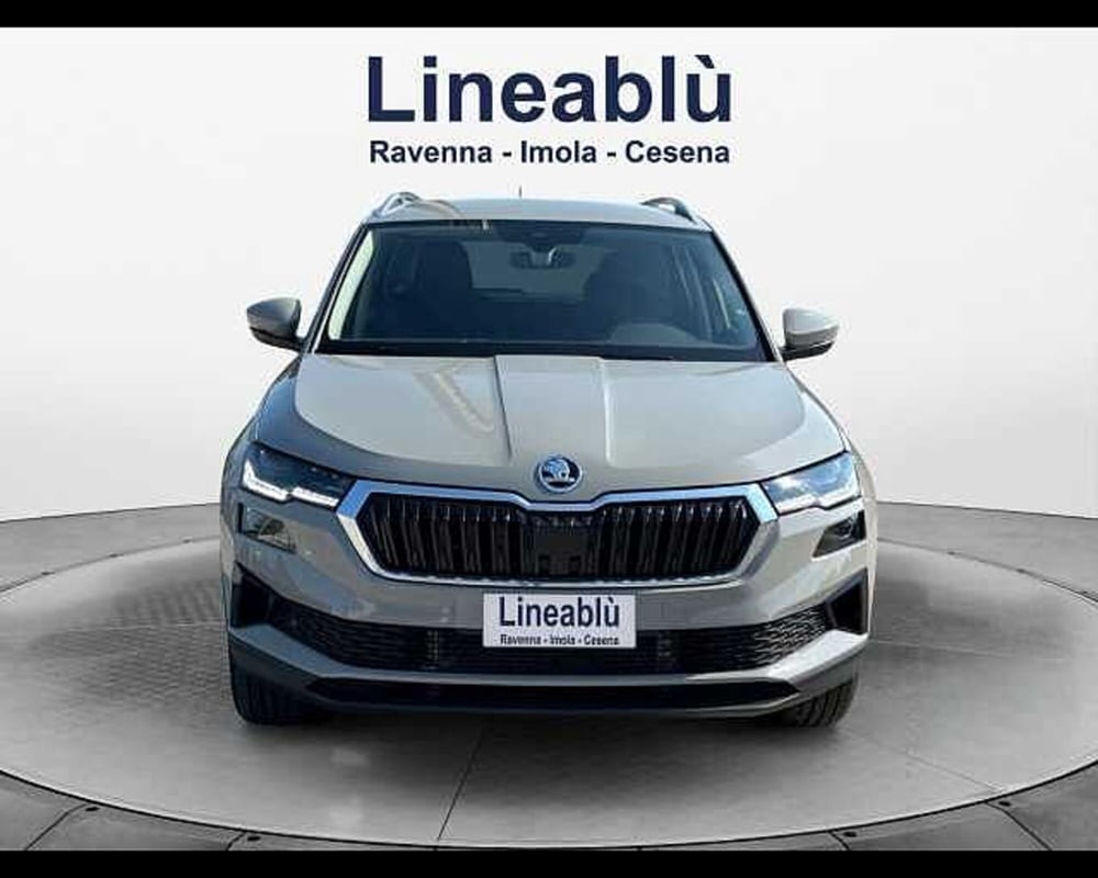 Skoda Karoq usata a Ravenna (8)