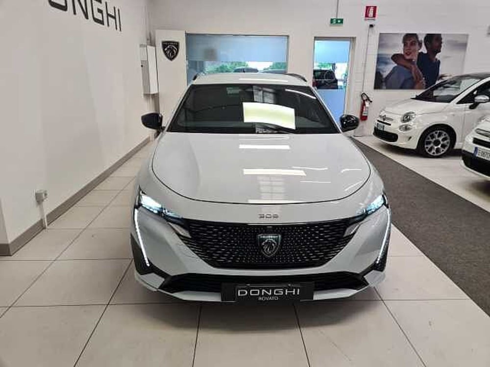 Peugeot 308 SW usata a Brescia (2)