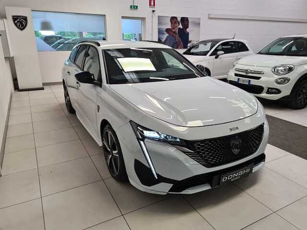 Peugeot 308 SW usata a Brescia (3)