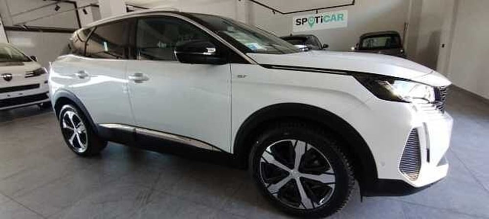 Peugeot 3008 usata a Viterbo (2)