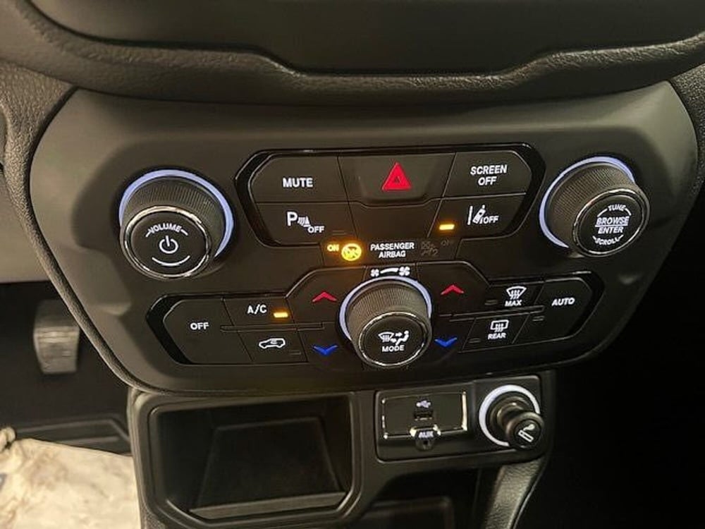 Jeep Renegade usata a Alessandria (13)