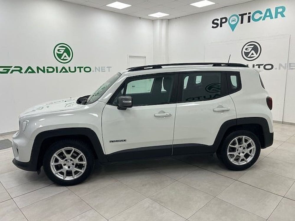 Jeep Renegade usata a Alessandria (2)