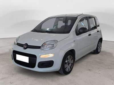 Fiat Panda 1.3 MJT S&amp;S Easy Van 4 posti del 2016 usata a Sala Consilina