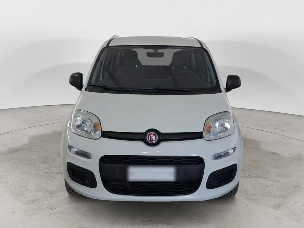 Fiat Panda usata a Salerno (2)