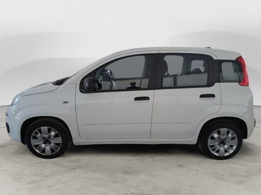 Fiat Panda usata a Salerno (4)
