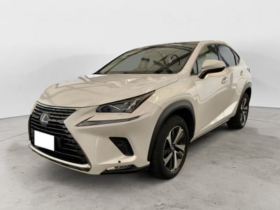 Lexus NX Hybrid 4WD Luxury del 2021 usata a Sala Consilina