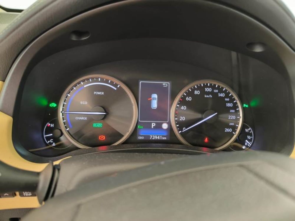 Lexus NX usata a Salerno (11)