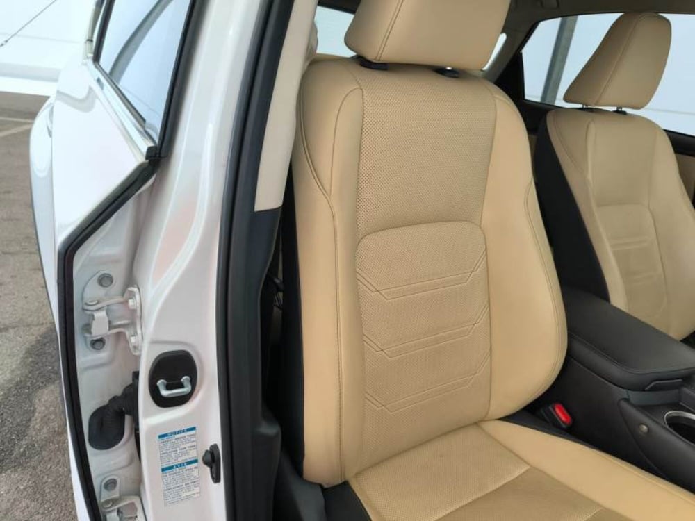 Lexus NX usata a Salerno (13)