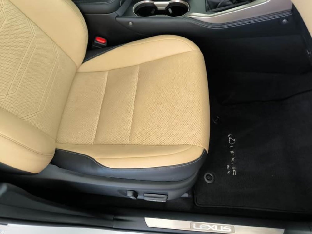 Lexus NX usata a Salerno (15)