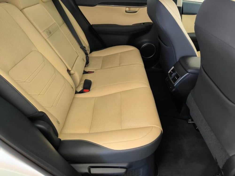 Lexus NX usata a Salerno (17)