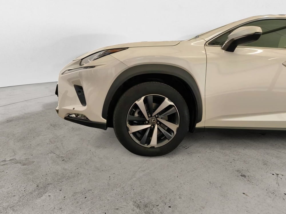 Lexus NX usata a Salerno (18)