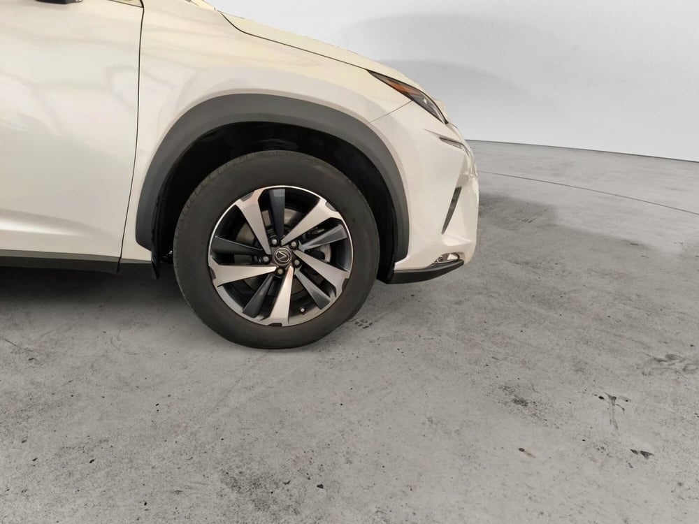 Lexus NX usata a Salerno (19)