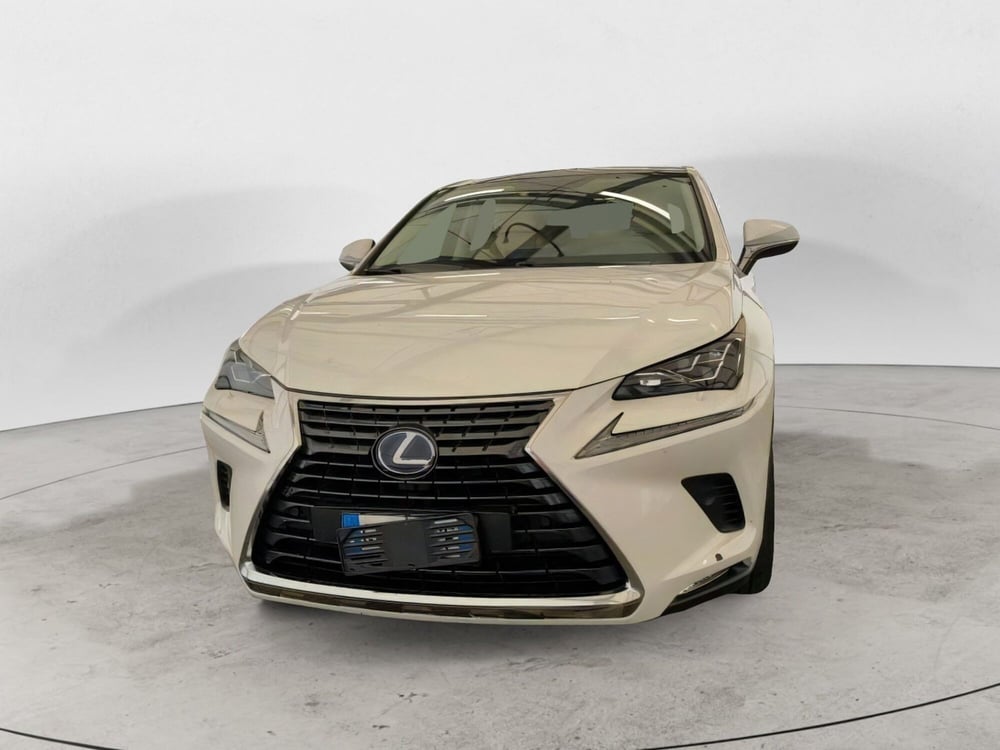 Lexus NX usata a Salerno (2)