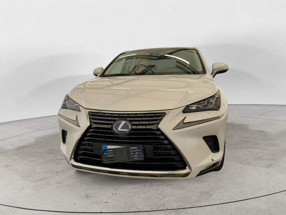 Lexus NX usata a Salerno (3)