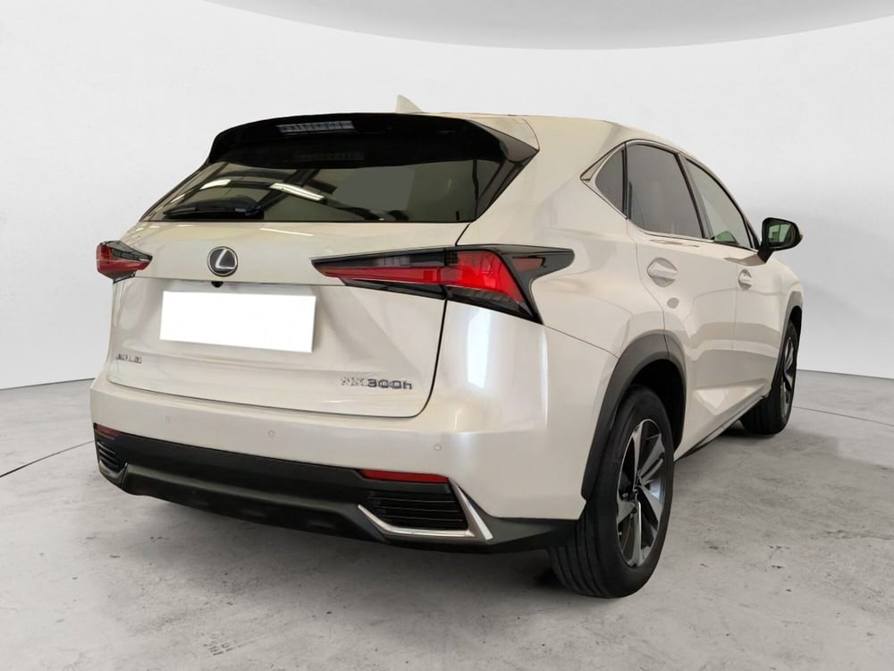 Lexus NX usata a Salerno (4)