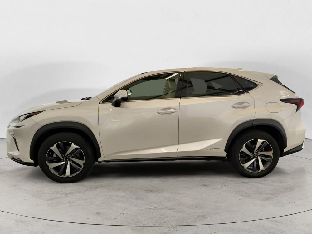 Lexus NX usata a Salerno (5)