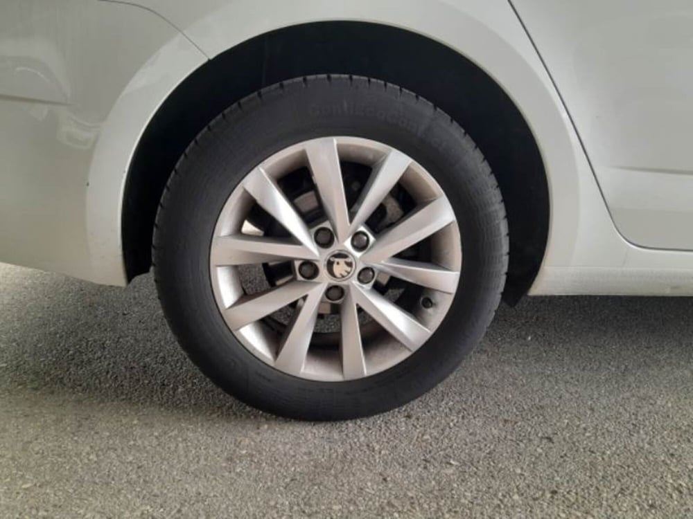 Skoda Octavia Station Wagon usata a Salerno (19)