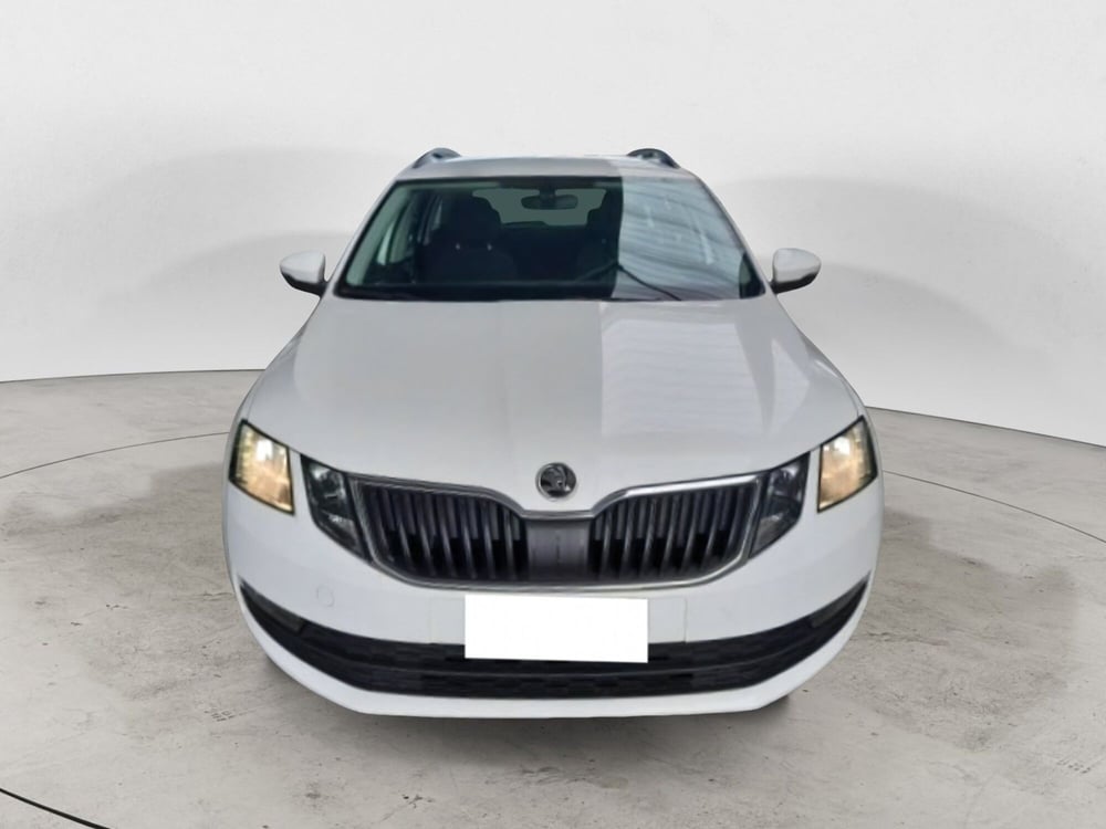 Skoda Octavia Station Wagon usata a Salerno (2)