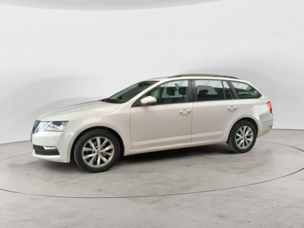 Skoda Octavia Station Wagon usata a Salerno (4)