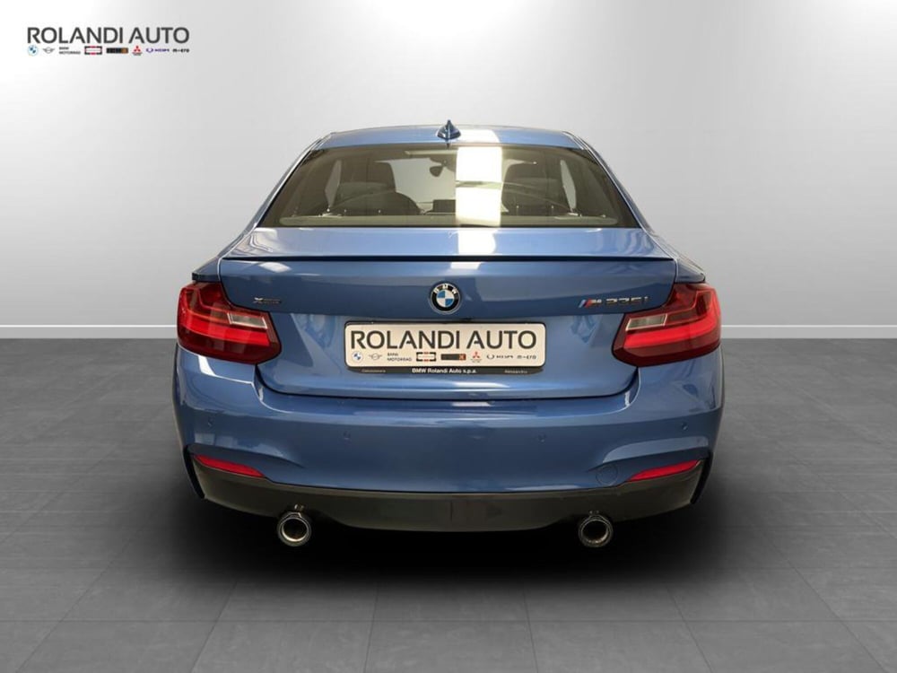 BMW Serie 2 Coupé usata a Alessandria (6)