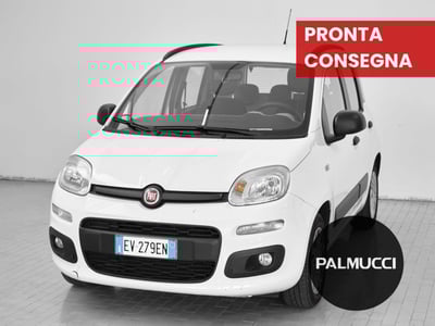 Fiat Panda 1.2 Easy del 2014 usata a Prato