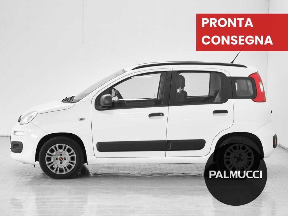Fiat Panda usata a Prato (3)