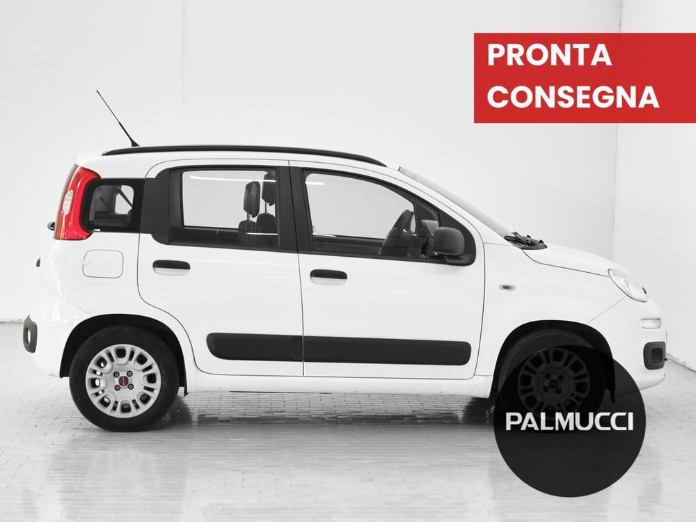 Fiat Panda usata a Prato (5)