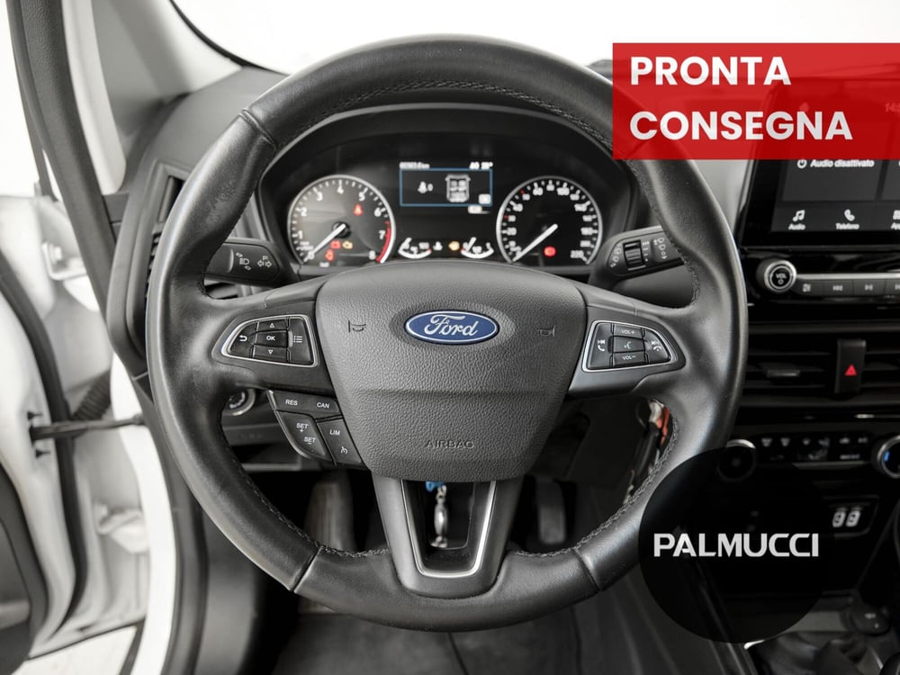 Ford EcoSport usata a Prato (16)